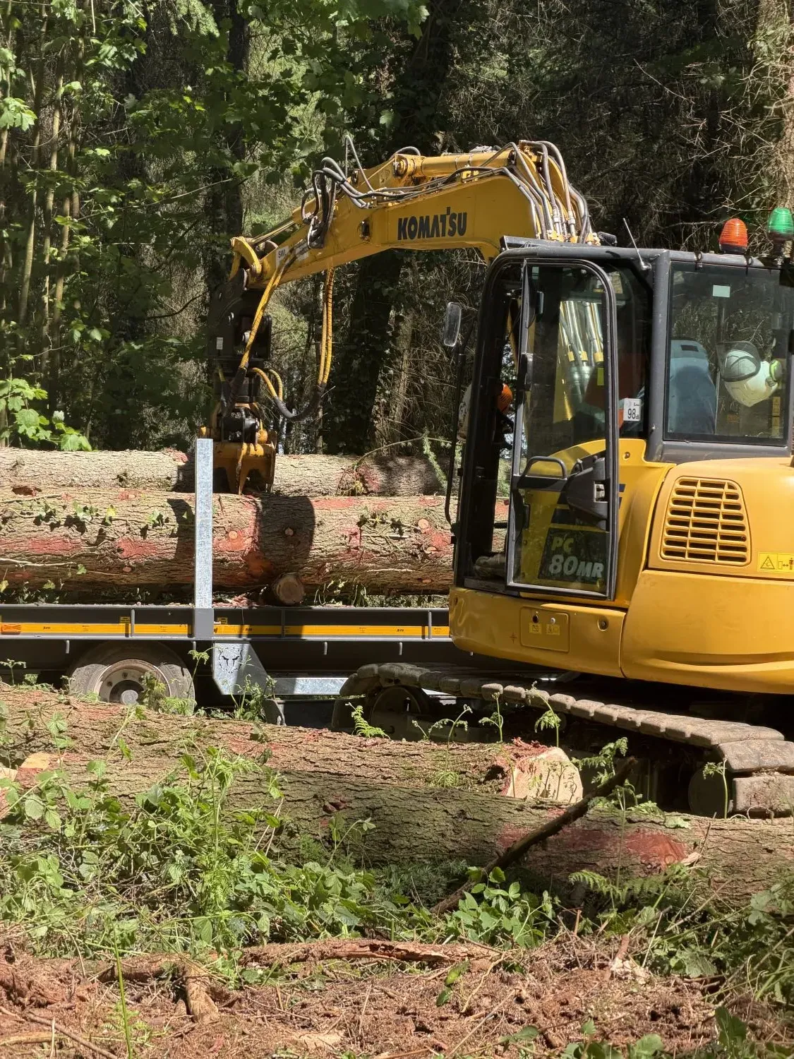Mark Hooper Tree Care