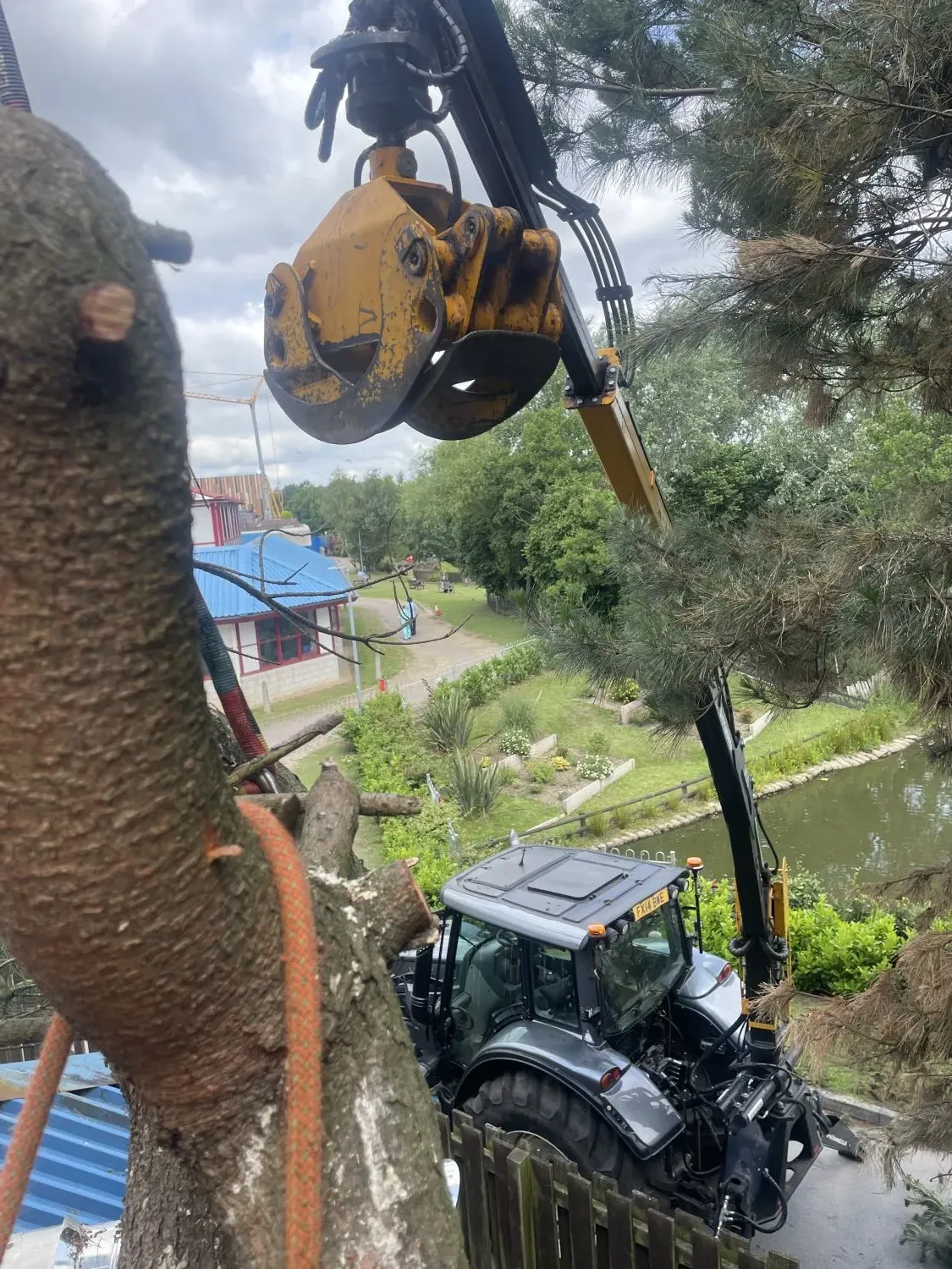 Tree Removal & Felling