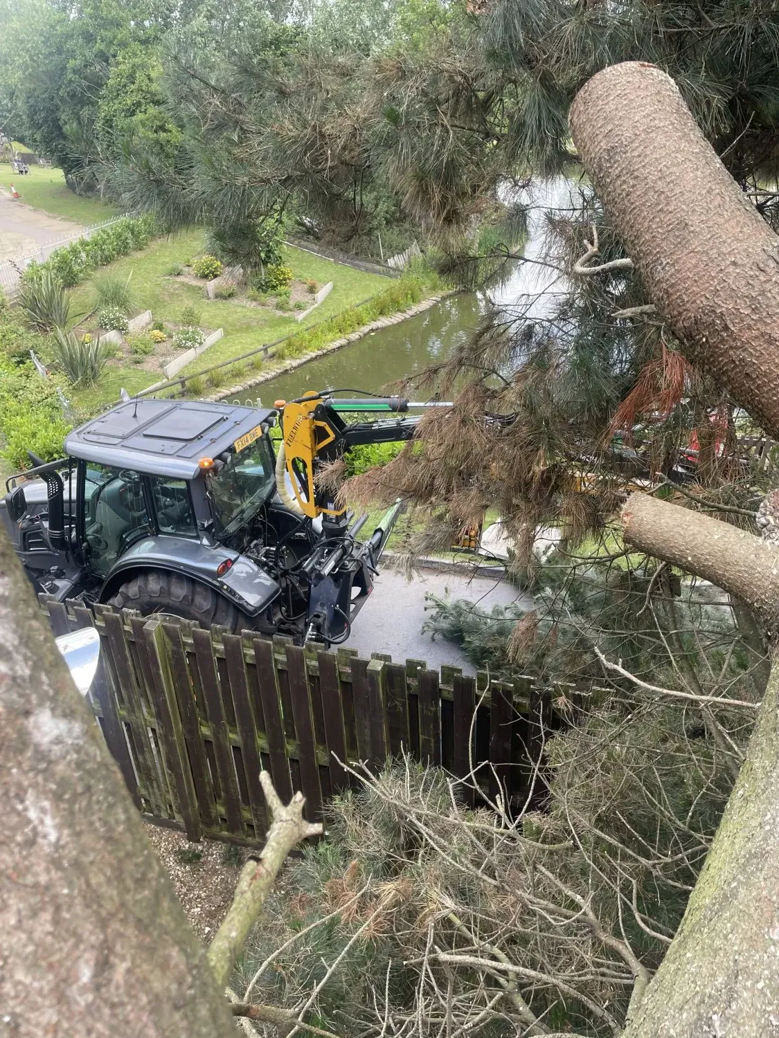 Tree Removal & Felling